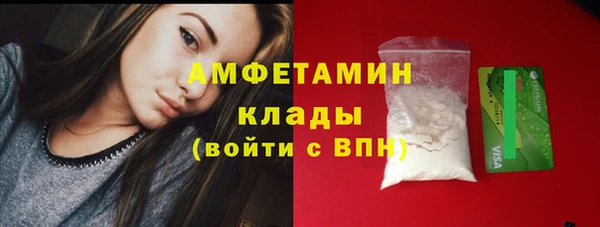 стаф Нея