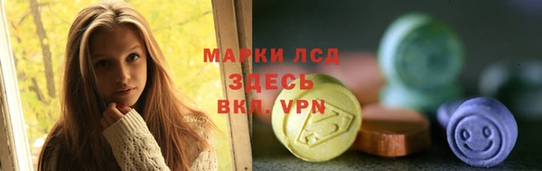 стаф Нея