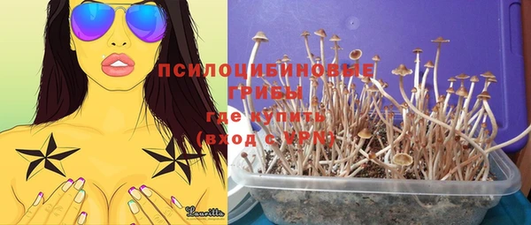 прущие крисы Нефтекумск