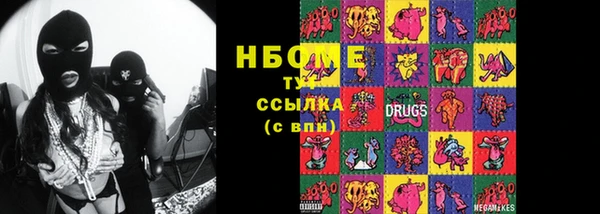 стаф Нея